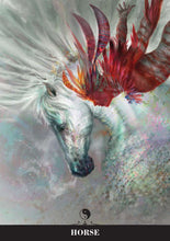 Load image into Gallery viewer, Chinese Oracle