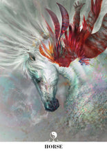 Load image into Gallery viewer, Chinese Oracle