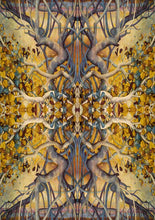 Load image into Gallery viewer, Portraits of a Woman - Aspects of a Goddess