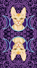 Load image into Gallery viewer, Tarot of Pagan Cats