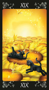 Black Cats Tarot