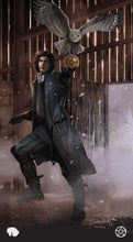 Load image into Gallery viewer, Tarot of the Haunted House