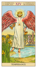 Load image into Gallery viewer, Tarot of the New Vision