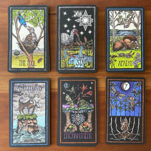 The Brady Tarot