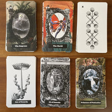 Load image into Gallery viewer, Seawitch Tarot
