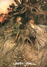 Load image into Gallery viewer, Fairy Oracle