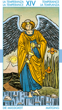 Load image into Gallery viewer, Tarot for Everyone Kit