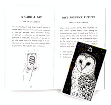 Load image into Gallery viewer, The Wild Unknown Animal Spirit Deck